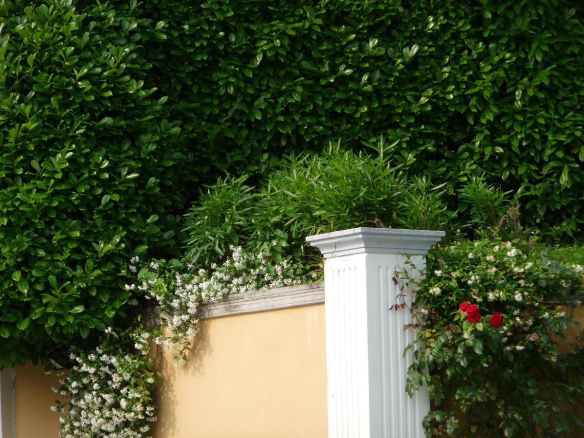 Ville Lago Lugano Porto Ceresio Exterior foto