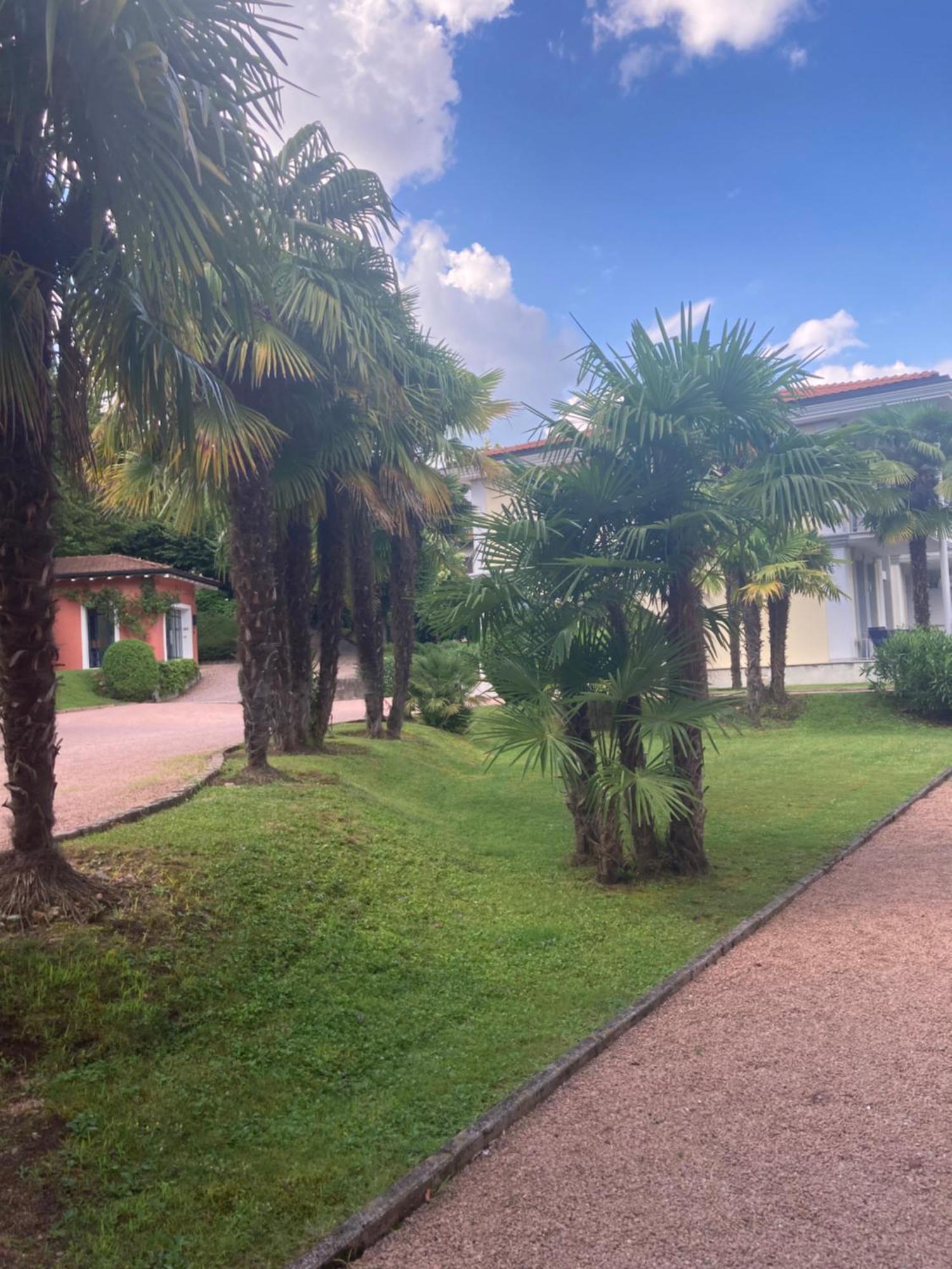 Ville Lago Lugano Porto Ceresio Exterior foto